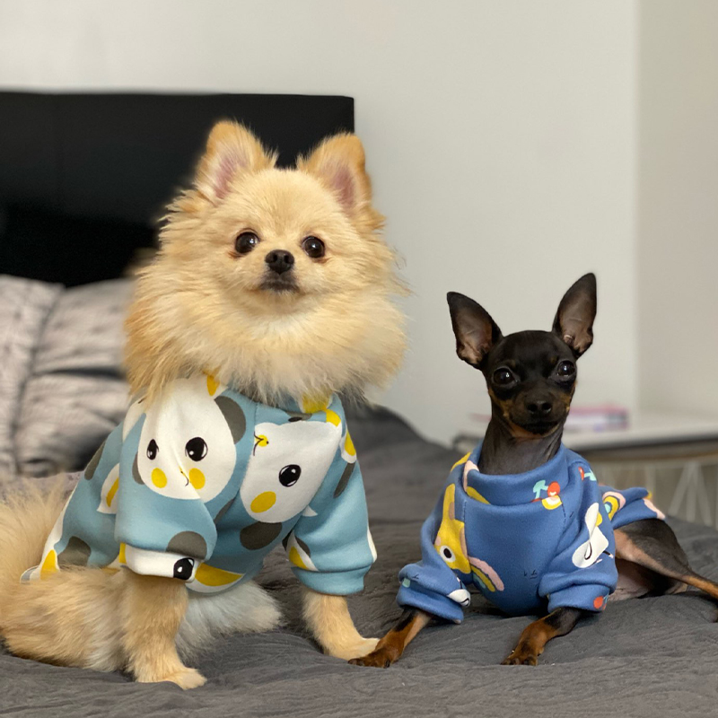 Xs Dog Clothes for Small Dogs  - Winter Clothing For Kids incelemesi ve fiyatı