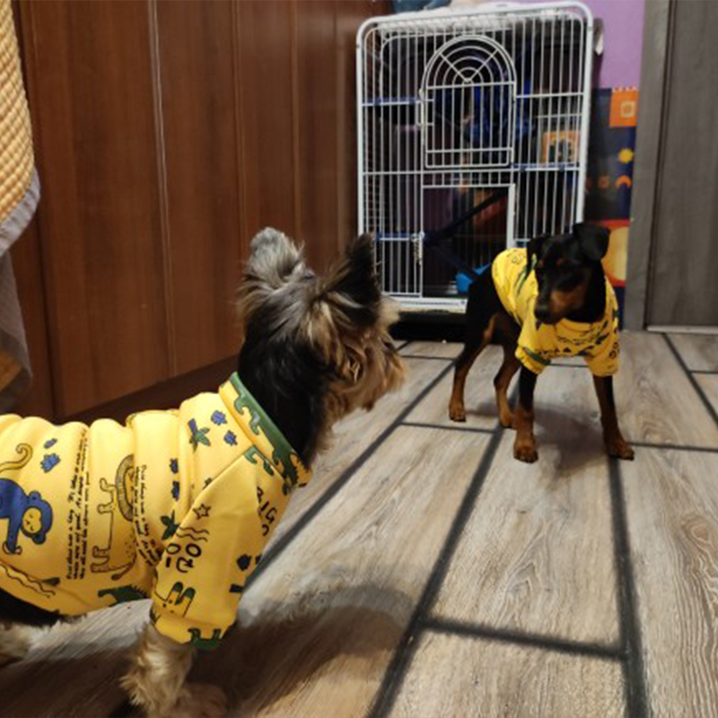 Xs Dog Clothes for Small Dogs  - Winter Clothing For Kids incelemesi ve fiyatı